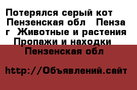 Потерялся серый кот!  - Пензенская обл., Пенза г. Животные и растения » Пропажи и находки   . Пензенская обл.